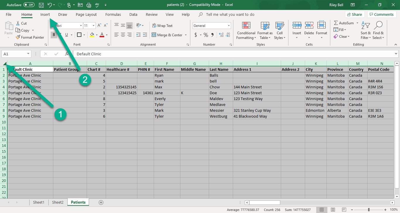 Juvonno_NPS_Excel.png